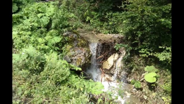 Halil Bytyqi - Kanga Bylbyl i lumi Bylbyl