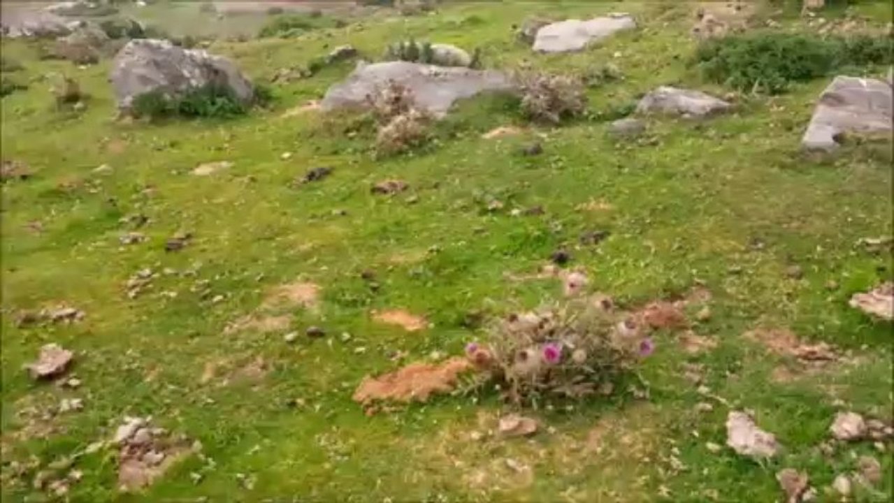 Ne passons pas  côté des choses Simples... C'est tellement plus VRAI !!! 3