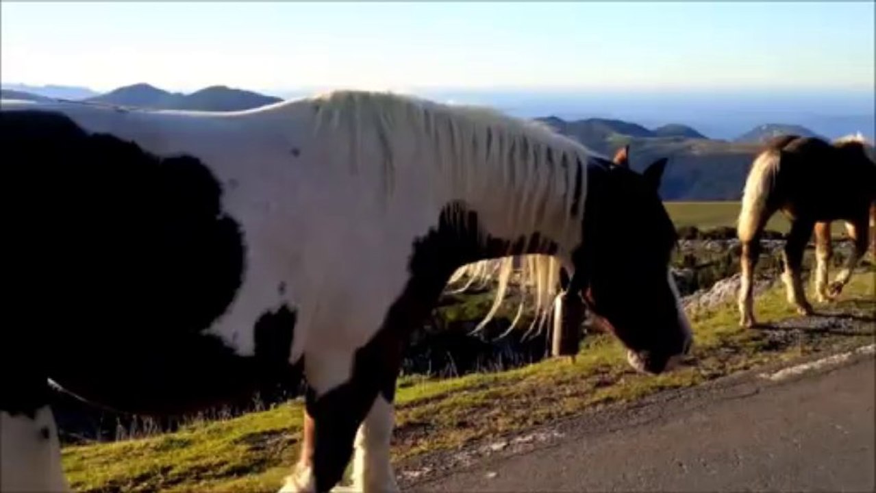 Ne passons pas  côté des choses Simples... C'est tellement plus VRAI !!! 4