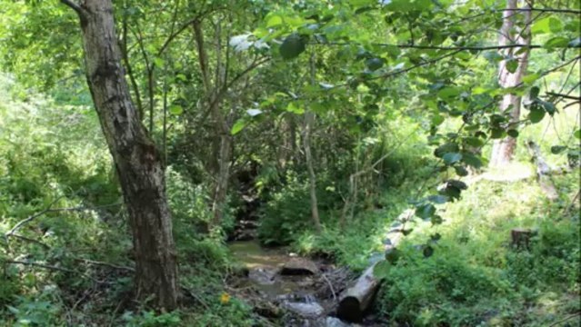 Halil Bytyqi dhe Vll. Gashi - Rexh Mehmeti