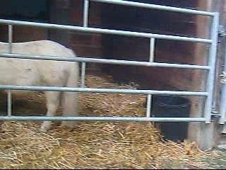 Tour du club by Alice