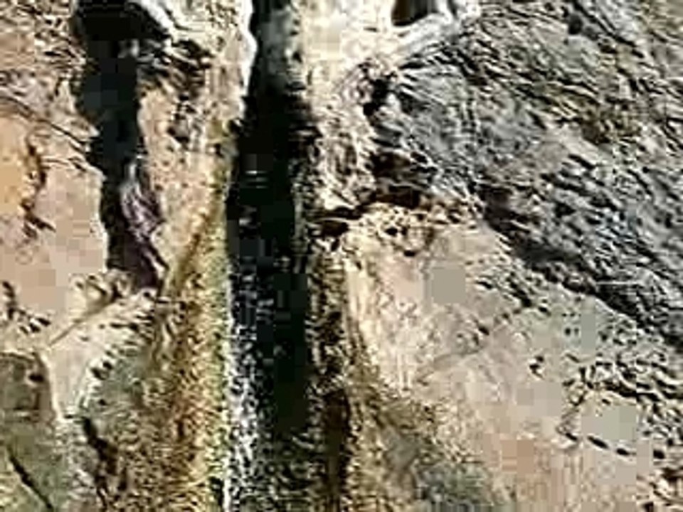 babadjani