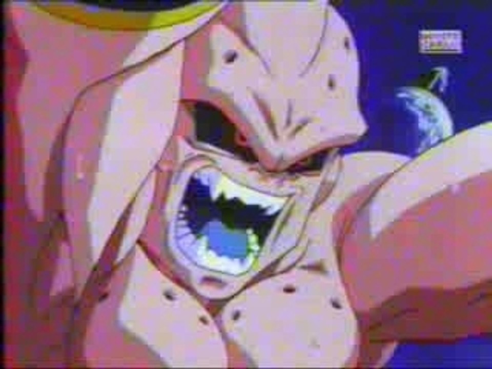 dbz mon premier montage