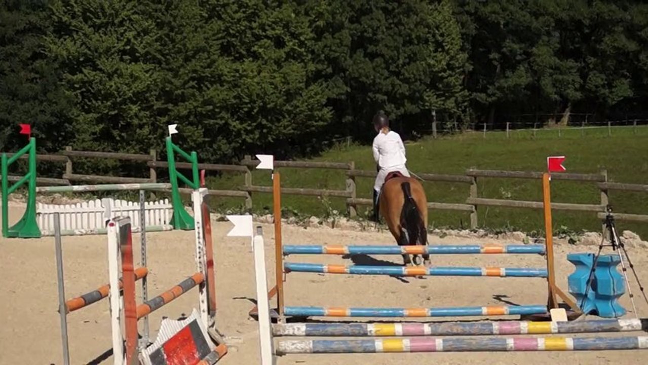 coline et ribinn