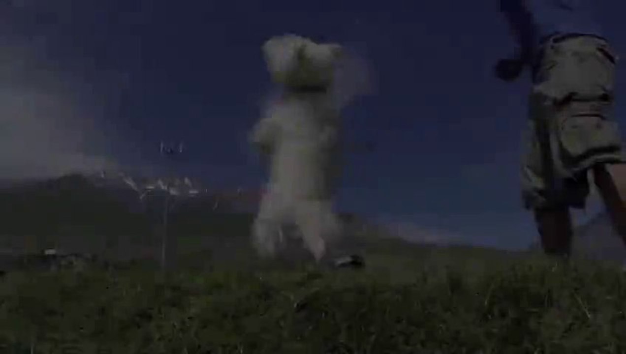Des chiens qui jouent filmés en mode MATRIX!