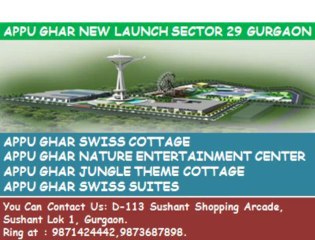 appu ghar||sector 29%9871424442%nec,forest theme,swiss suites gurgaon