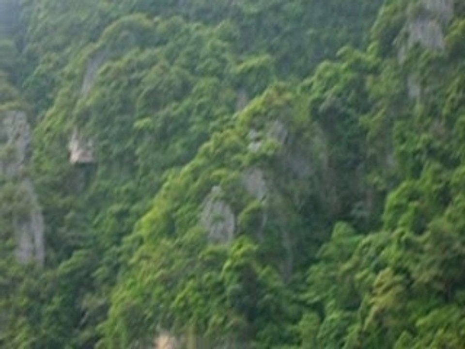 DSCN4331