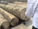 Cigarette Smuggling through wood - Latest News