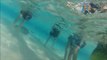 Swimmers Surrounded by Stingrays in the Cayman Islands