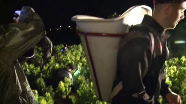 Vendanges de nuit à Chénas dans le Beaujolais