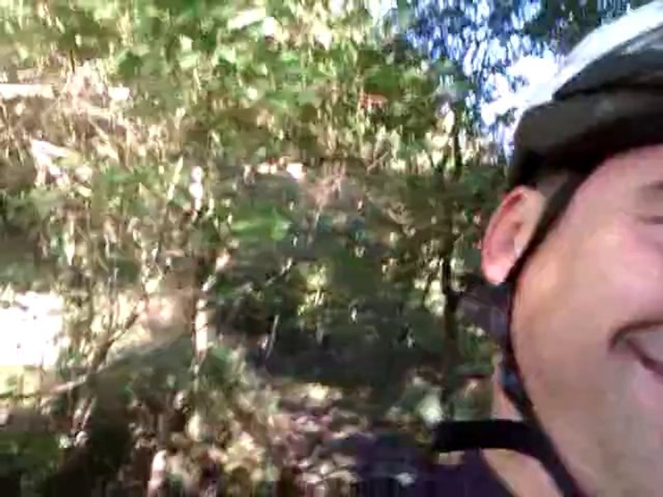 vtt