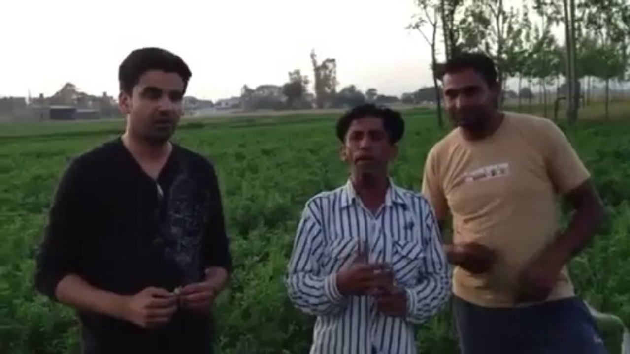 Bawa from kum kalan singing boliyan #Hidden talent of Punjab