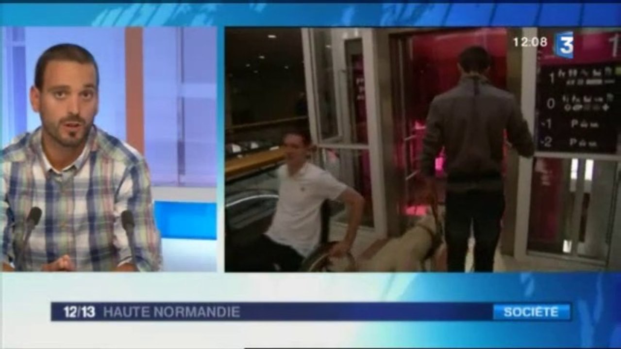 Haute-Normandie : les chiens-guides d'aveugle