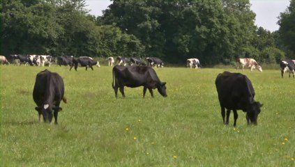 Grandes cultures : produire mieux