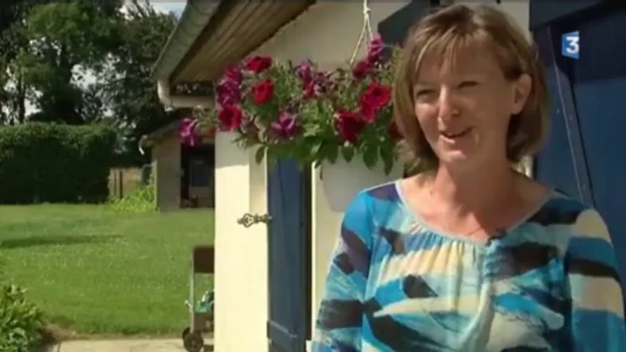 France 3 HN : Garde de chien, chat, animaux : nouveau, l'échange entre particuliers, une idée neuve pour faire garder son animal pendant les vacances