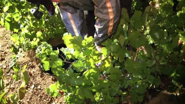 AFP - Le JT, 2e édition du mardi 24 septembre