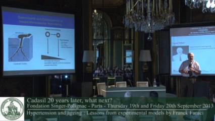 Franck Faraci - Hypertension and ageing : Lessons from experimental models
