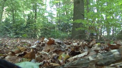 Nieuwsuitzending 24 september