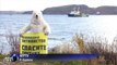 Russia accuses Greenpeace activists of piracy