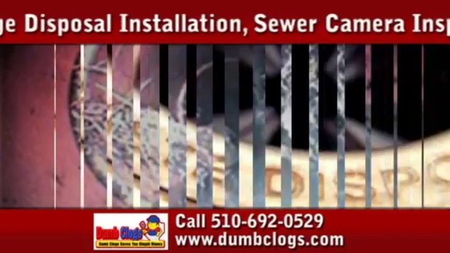 Oakland Plumbers | Berkeley Drain Cleaning Call 510-692-0529