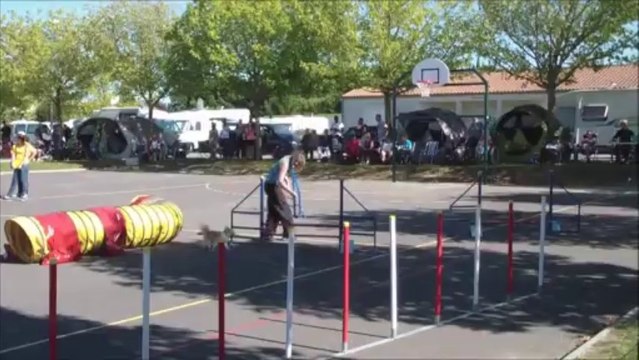 Ewok Concours de Saint Sauveur 2013-09-22