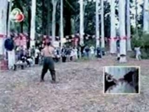 debile-nul-fun-drole-rire-byGouRGuS_-