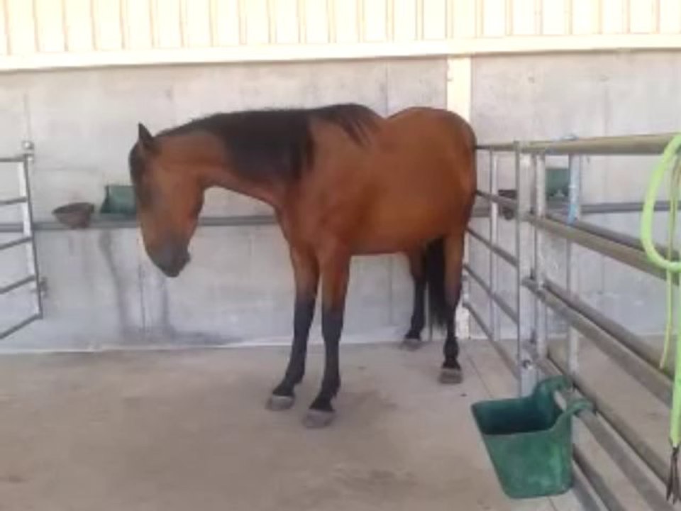 video-2013-08-16-16-17-49