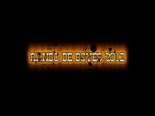 montage fini de la rando de boves 2012