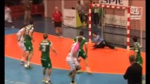 Handball : Nîmes 22-27 Cesson-Rennes