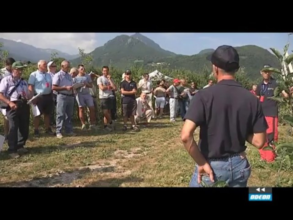 A COME ALPI - 15