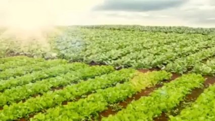 Bà Thái Hương cho biết mỗi ly sữa là mỗi niềm vui