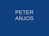 PETER ANJOS CoComment 