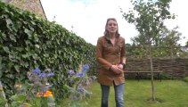 Jardinage au naturel