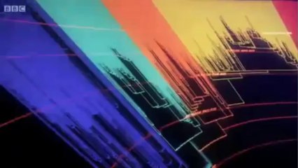 Evolution of Vertebrae