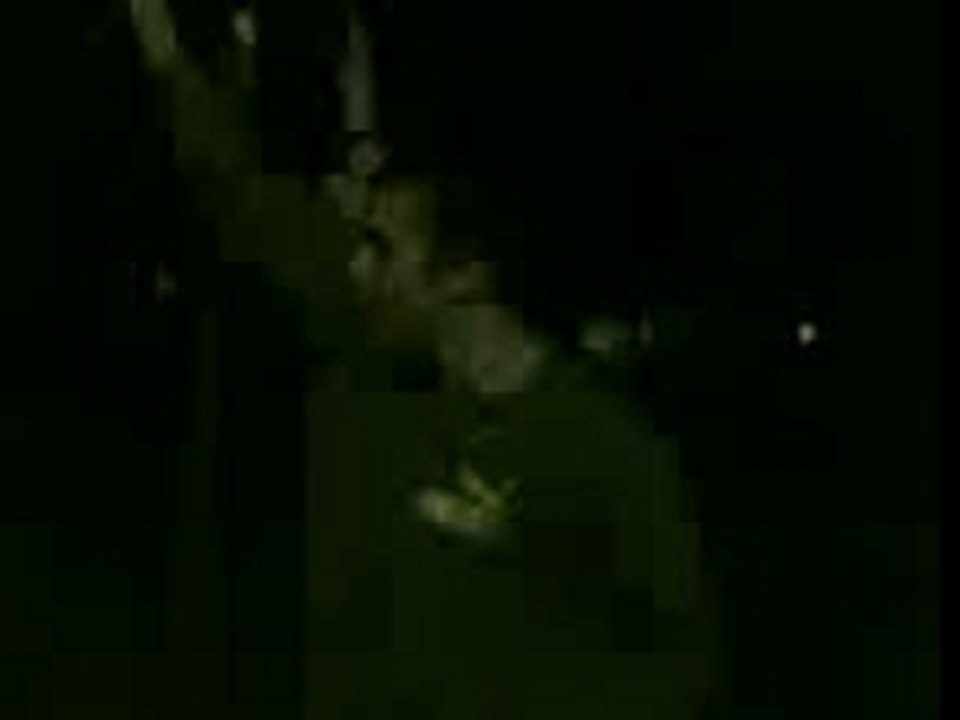 28102006(002)