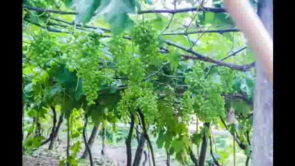 Camp Pios Cinque Terre 2013