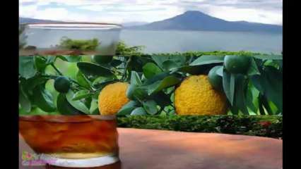 GUERLAIN ტუალეტის წყალი სპრეი მამაკაცებისათვის