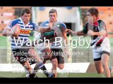 Live Streaming Golden Lions vs Natal Sharks Rugby