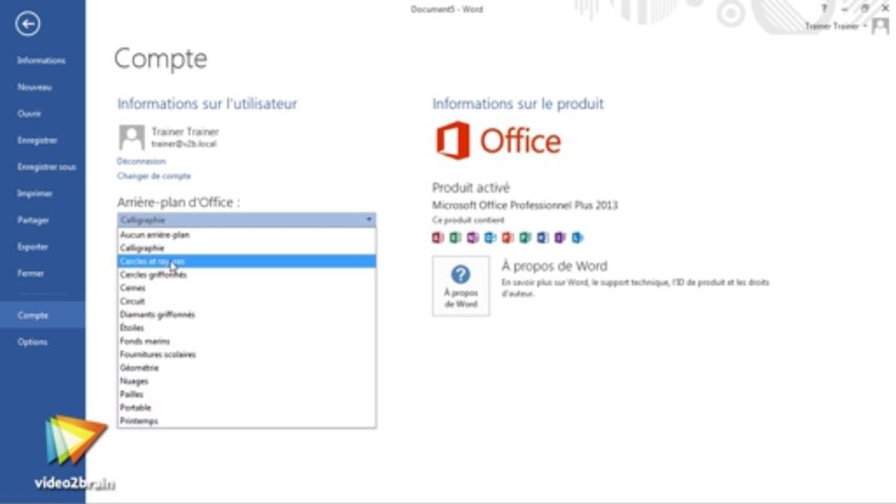 Word 2013 : Gérer l'apparence de Word