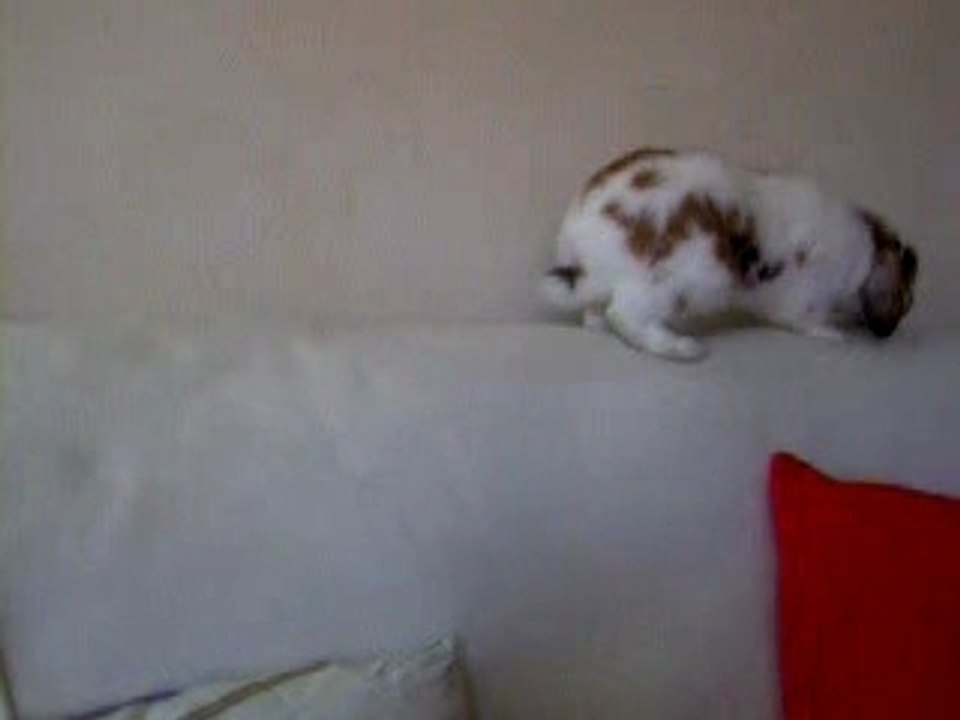 boby equilibriste