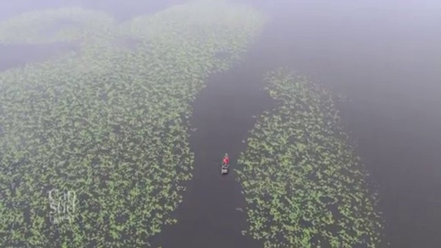 Cap Sud Ouest - Les Landes, la Côte d'Argent