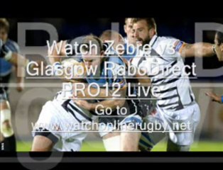 Watch The Live Stream Of Rugby Zebre vs Glasgow