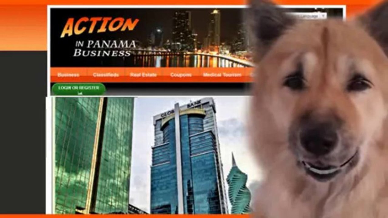 Online Business Licensing system  In Panama PanamaOnline Business Licensing system