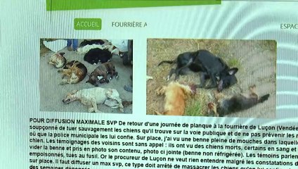Luçon: le responsable de la fourrière réagit