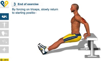 Triceps bench dips