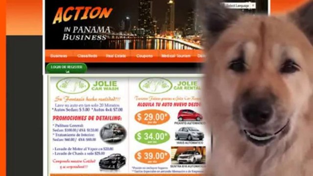 Business Networking In Panama PanamaBusiness Networking