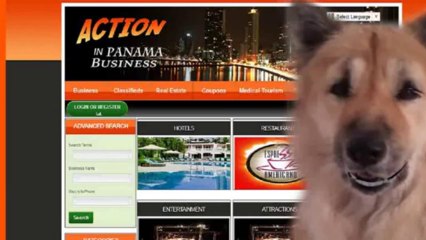 Business Model  In Panama PanamaBusiness Model