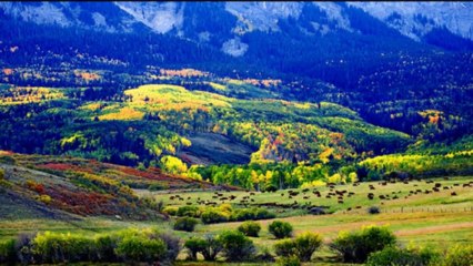 Autumnal Equinox (PP720p)