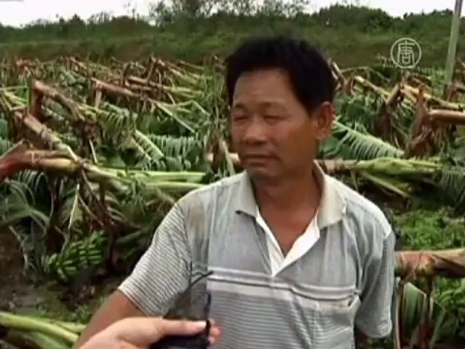 Ураган «Усаги» принёс большие разрушения в Китай