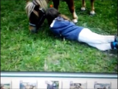 Tuto bannière pour Alex 1 er partie